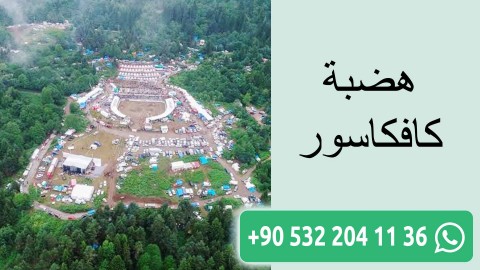 هضبة كافكاسور